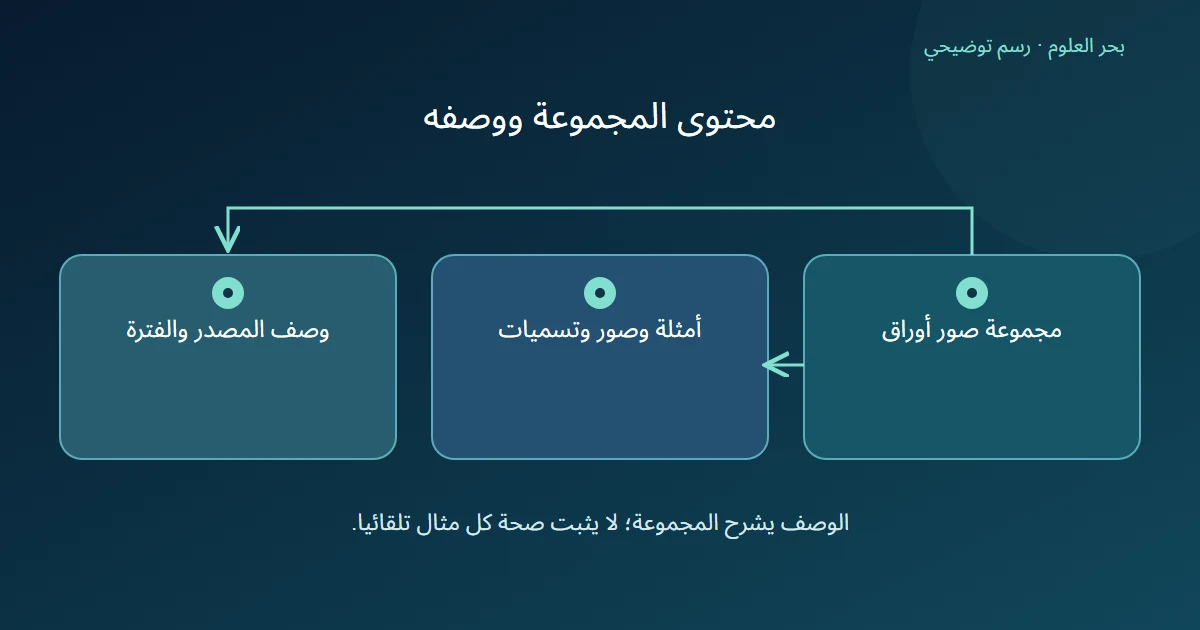 مجموعة صور أوراق تتفرع إلى محتواها من أمثلة وتسميات وإلى وصف مصدرها وفترتها