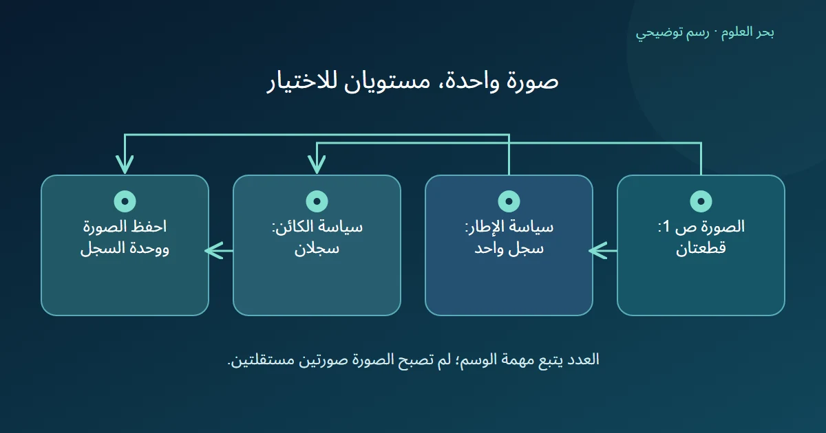 صورة واحدة تتفرع إلى وسم الإطار بسجل واحد أو وسم كائنين بسجلين ثم توثيق وحدة العمل