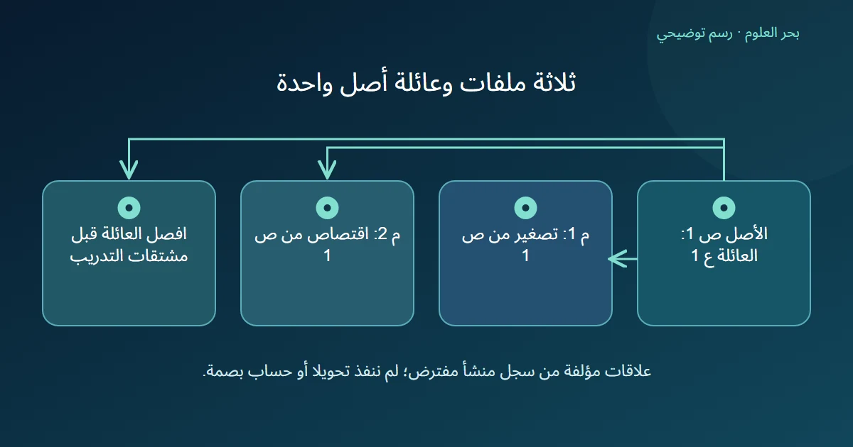 ملف أصل ص 1 له مشتق تصغير م 1 ومشتق اقتصاص م 2 وجميعها تنتمي لعائلة ع 1 الواحدة في فصل يختبر أصولا جديدة