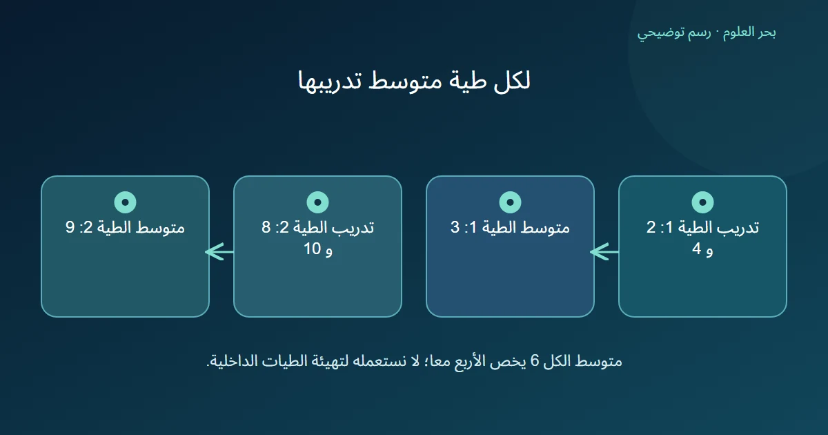 تدريب الطية الأولى بقيم اثنين وأربعة يتعلم المتوسط ثلاثة وتدريب الطية الثانية بقيم ثمانية وعشرة يتعلم المتوسط تسعة بدلا من متوسط كامل التطوير ستة