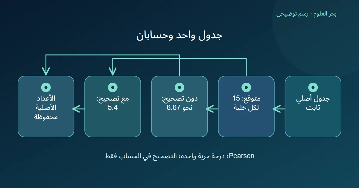 جدول أصلي ثابت يقارن بمتوقع خمسة عشر لكل خلية ثم يتفرع إلى إحصاء غير مصحح ومصحح مع حفظ الأعداد الأصلية
