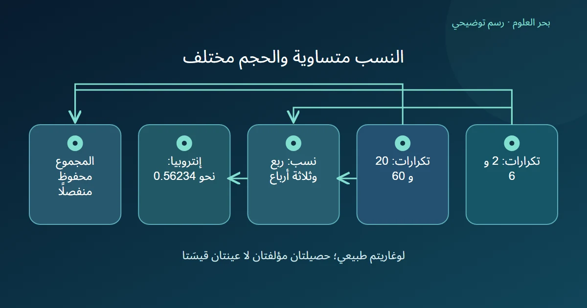 حصيلتا فئات مختلفتا الحجم تتصلان بالنسب نفسها والإنتروبيا نفسها بينما يحفظ مجموع كل منهما في خانة منفصلة
