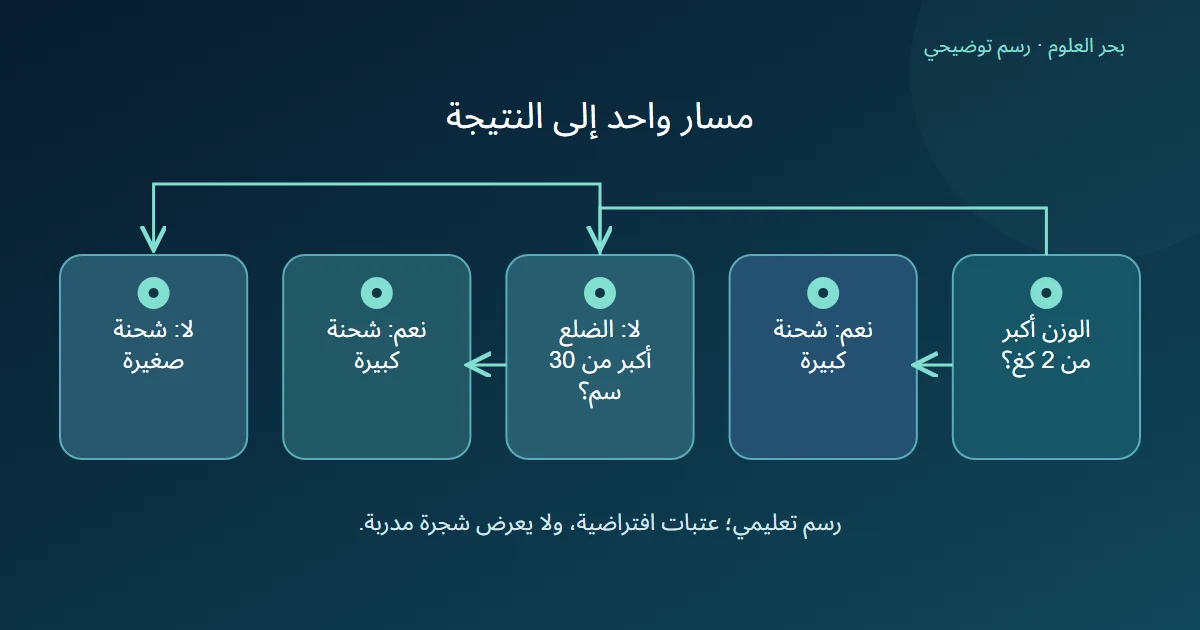 شجرة قرار تبدأ باختبار وزن الشحنة؛ جواب نعم يصل إلى شحنة كبيرة، وجواب لا ينتقل لاختبار طول الضلع ثم يحدد كبيرة أو صغيرة