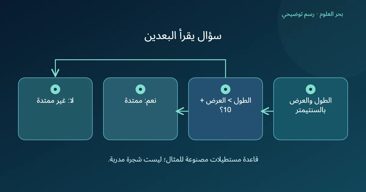 بُعدا مستطيل يدخلان سؤالًا مركبًا له فرع نعم وفرع لا