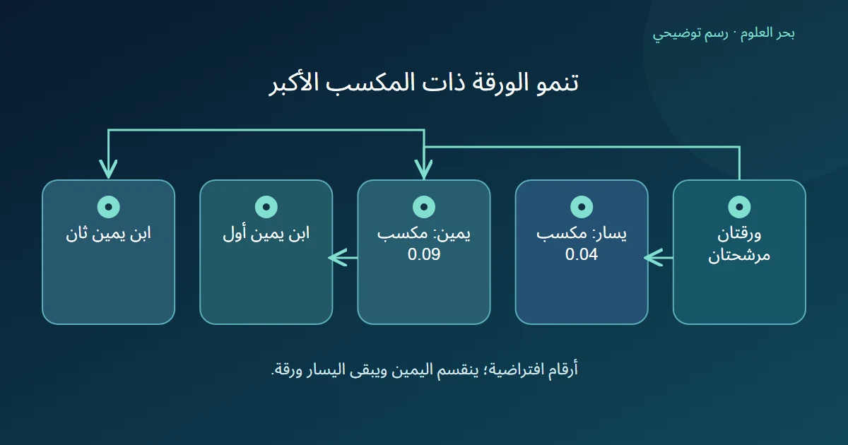 مقارنةورقتينبمكسب 0.04يسارًاو 0.09يمينًافتنقسماليمنىإلىابنين