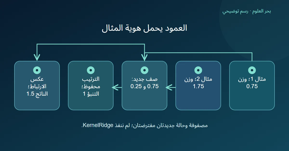 صف نواة جديد يرتبط بوزني مثالي التدريب ويظهر تغير الحساب عند عكس الارتباط