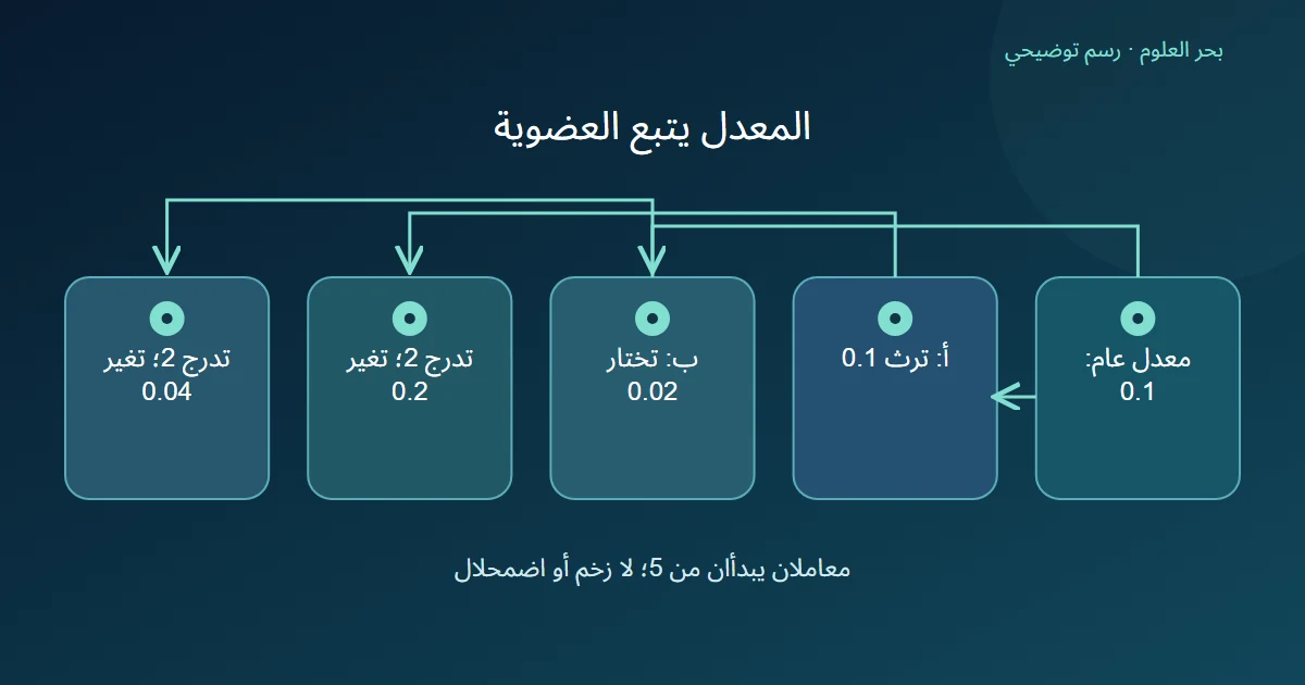 معدل عام يتفرع إلى مجموعة ترثه وأخرى تتجاوزه، ثم تظهر حركتان مختلفتان تحت تدرج واحد مفترض