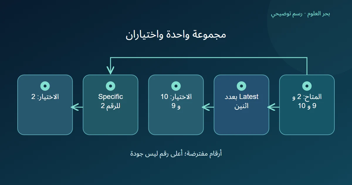 مجموعة نسخ 2 و 9 و 10 تتفرع إلى سياسة Latest التي تختار 10 و 9 وسياسة Specific التي تختار 2