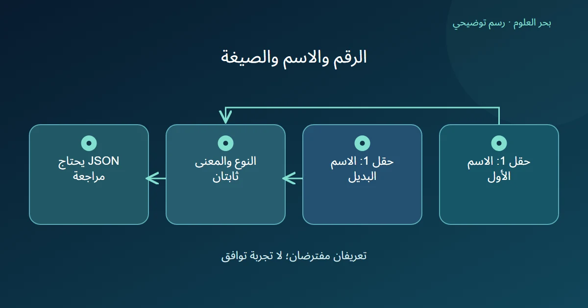 اسمان في تعريفين مفترضين يشتركان في رقم الحقل 1 ونوعه ومعناه، مع بطاقة مستقلة لمراجعة تمثيل JSON