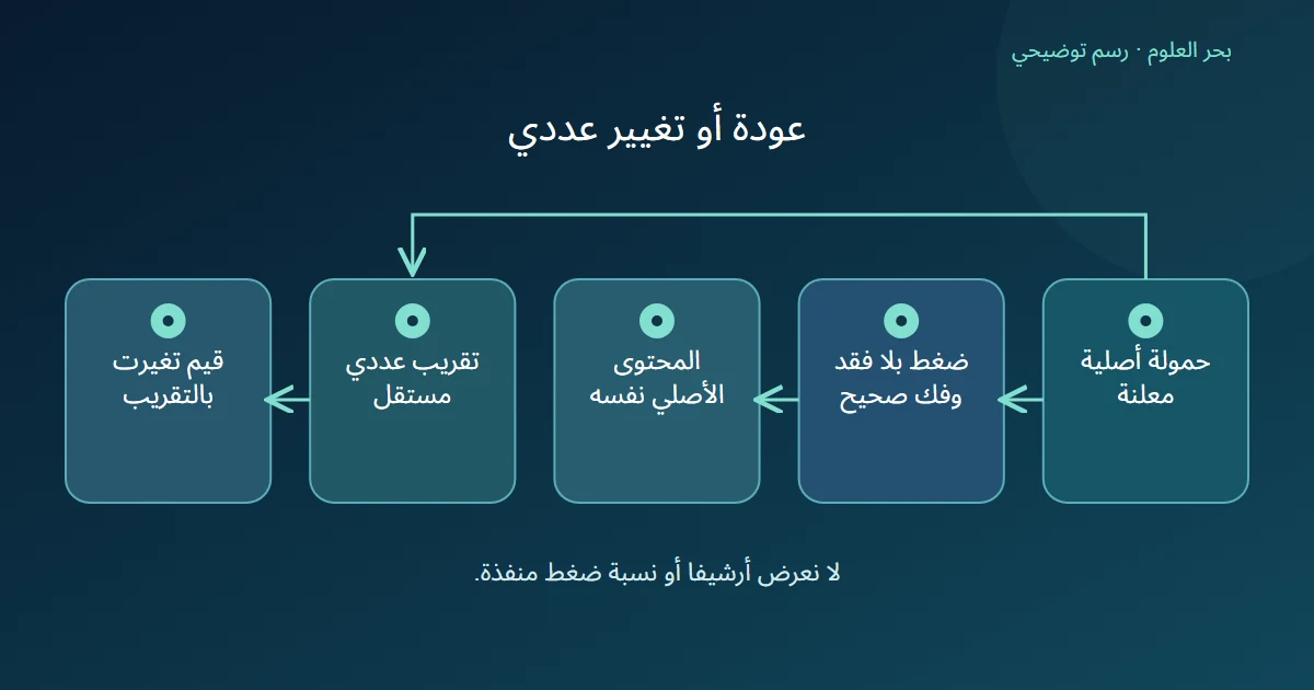 حمولة تسلك طريق عودة بلا فقد وطريقا آخر لتقريب عددي يغير القيم؛ العقدان مستقلان.
