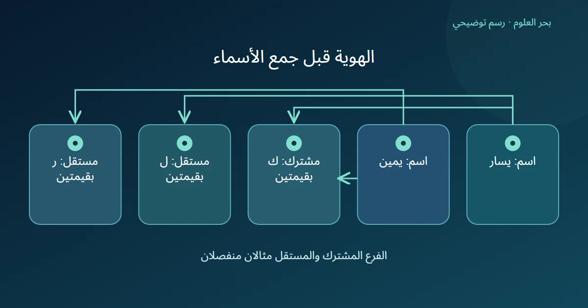 رسم يقارن اسمين يشيران إلى كائن واحد ذي قيمتين بمثال آخر لكائنين مستقلين ذوي قيمتين لكل منهما