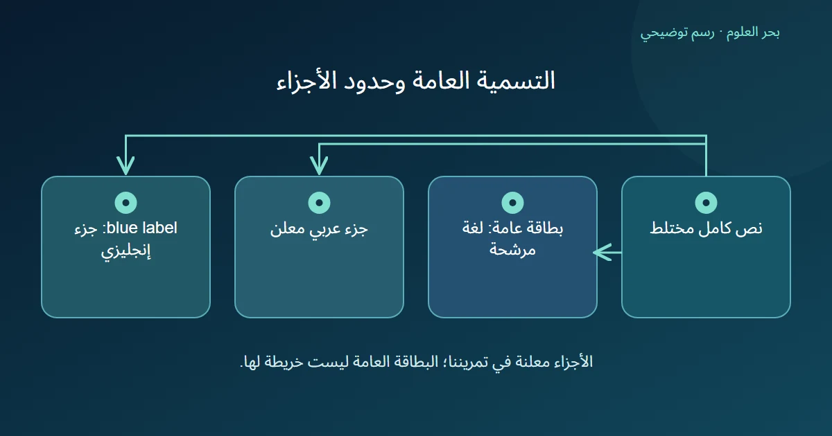 رسم يميز تسمية للنص كله من جزأين حددهما الكاتب، دون ربط المرشح آليا بكل كلمة.