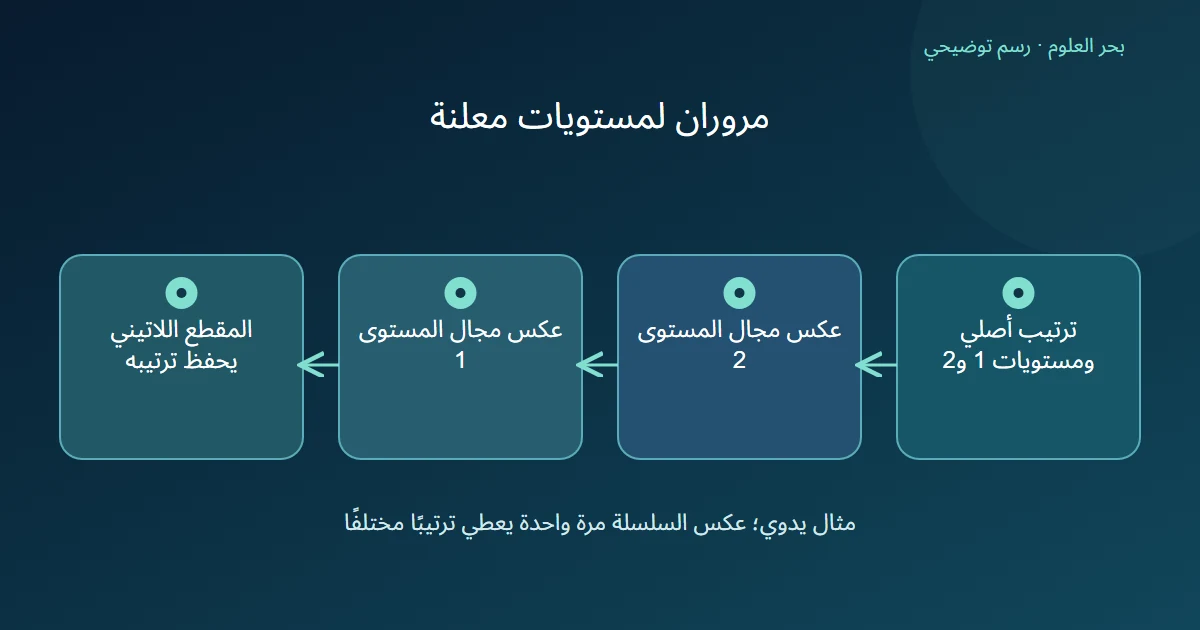 رسم يوضح مرورين لعكس مجالات الاتجاه، لا قلب النص المخزن كله.