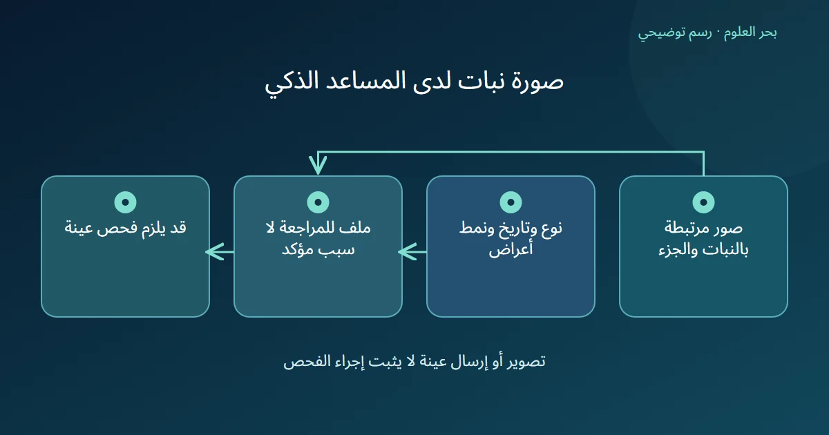 رسم توضيحي: صور مرتبطة بالنبات والجزء؛ نوع وتاريخ ونمط أعراض؛ ملف للمراجعة لا سبب مؤكد؛ قد يلزم فحص عينة