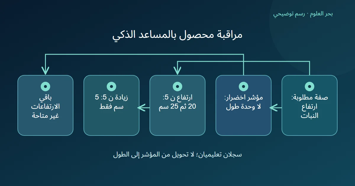 رسم توضيحي: صفة مطلوبة: ارتفاع النبات؛ مؤشر اخضرار: لا وحدة طول؛ ارتفاع ن 5: 20 ثم 25 سم؛ زيادة ن 5: 5 سم فقط؛ باقي الارتفاعات غير متاحة