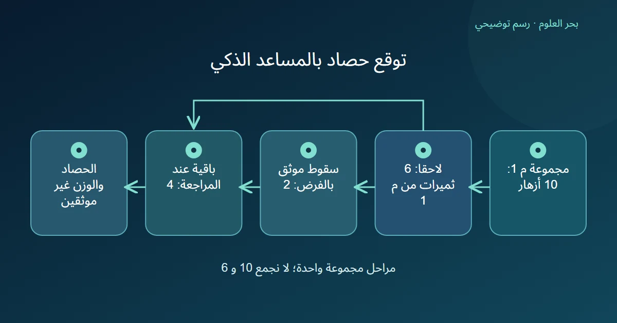 رسم توضيحي: مجموعة م 1: 10 أزهار؛ لاحقا: 6 ثميرات من م 1؛ سقوط موثق بالفرض: 2؛ باقية عند المراجعة: 4؛ الحصاد والوزن غير موثقين