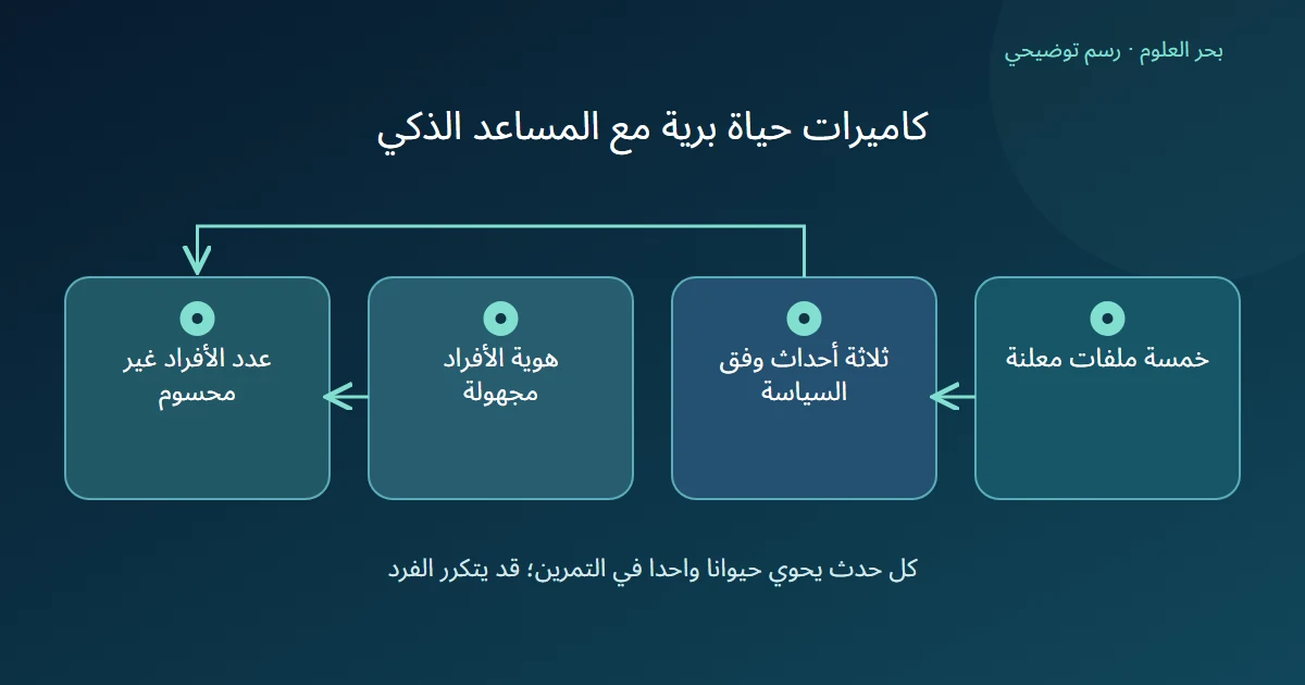 رسم توضيحي: خمسة ملفات معلنة؛ ثلاثة أحداث وفق السياسة؛ هوية الأفراد مجهولة؛ عدد الأفراد غير محسوم