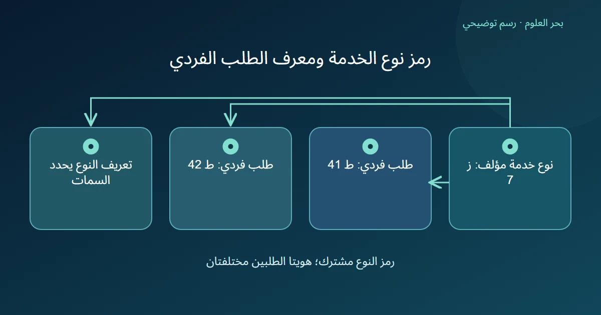 رسم توضيحي: نوع خدمة مؤلف: ز 7؛ طلب فردي: ط 41؛ طلب فردي: ط 42؛ تعريف النوع يحدد السمات
