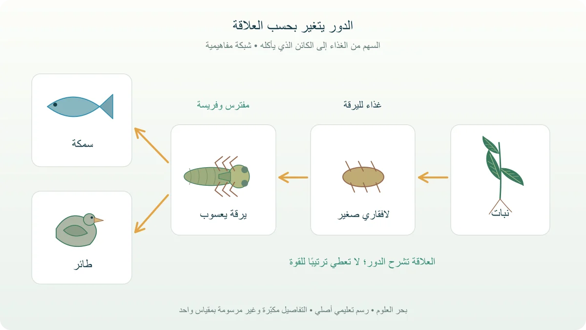 شبكة غذائية أصلية توضح الغذاء والفريسة والمفترس مع أسهم من الغذاء إلى المستهلك