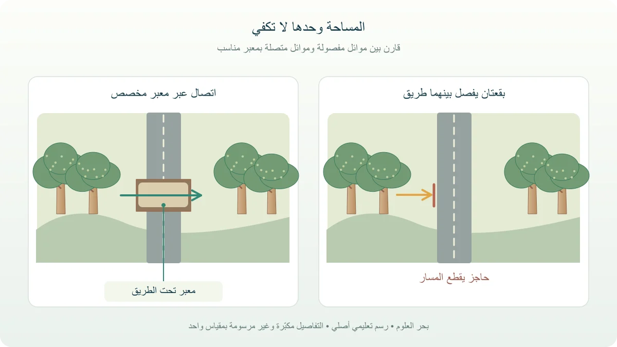 رسم يوضح بقعتين نباتيتين وطريقًا يعزل الحركة، ومعبرًا يصل بين الموائل