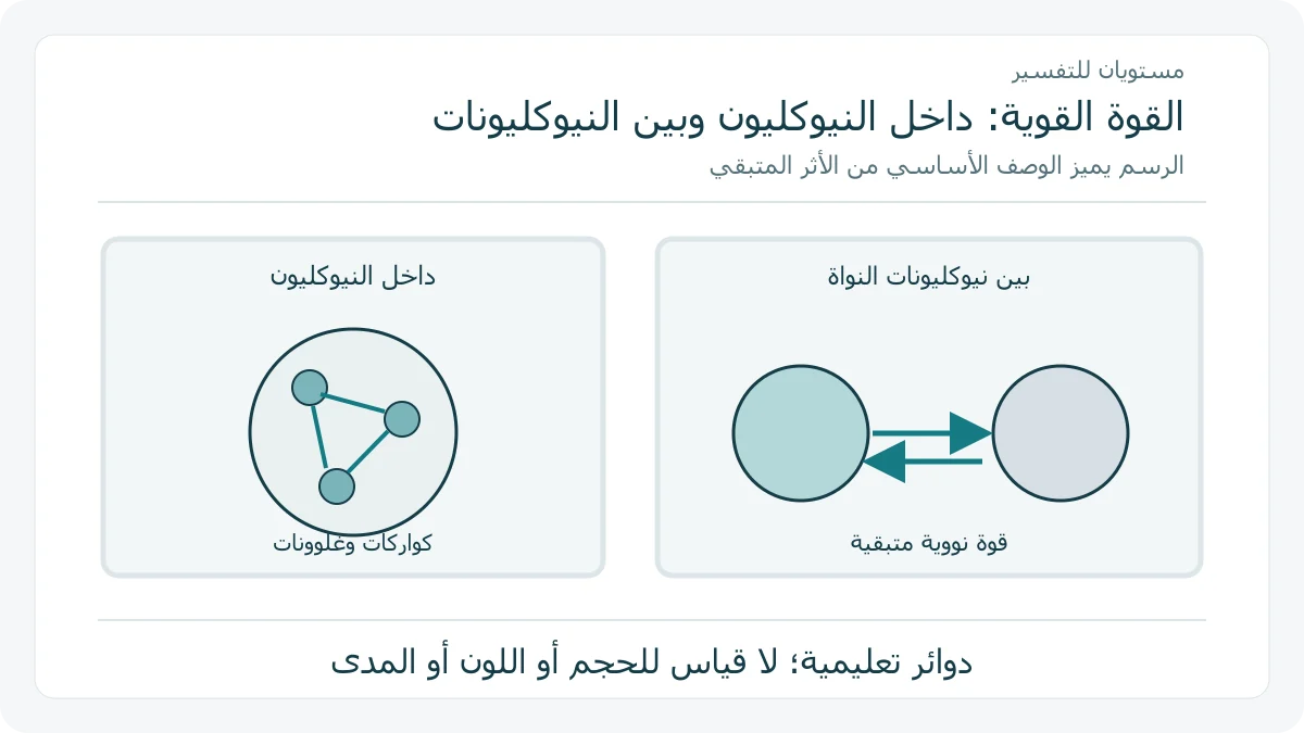 رسم أصلي يفصل قوة الكواركات من الأثر المتبقي بين النيوكليونات