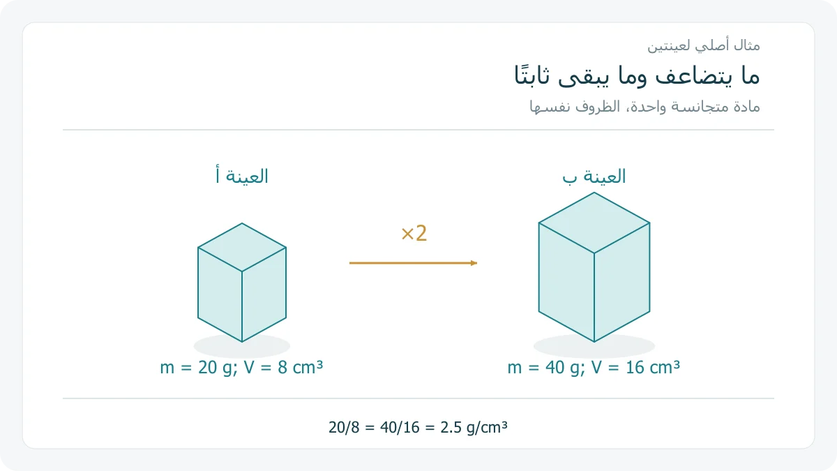 عينتان افتراضيتان بكتلتي 20 و 40 غرامًا وحجمي 8 و 16 سنتيمترًا مكعبًا