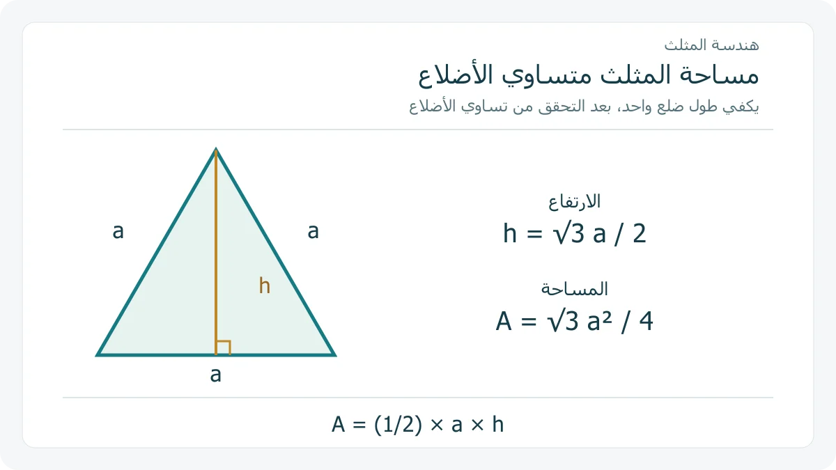 مثلث متساوي الأضلاع مع ارتفاع عمودي وصيغتي الارتفاع والمساحة