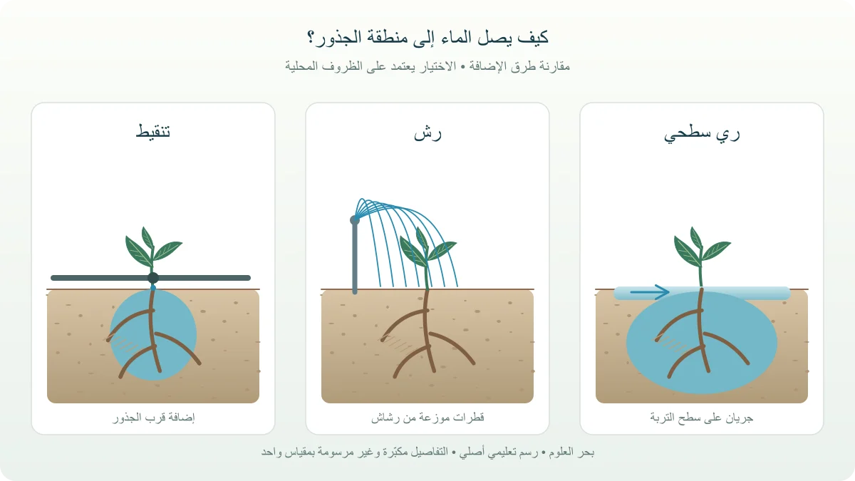 ثلاثة مقاطع أرضية تقارن وصول الماء عبر أخدود ورشاش ونقاطات قرب الجذور