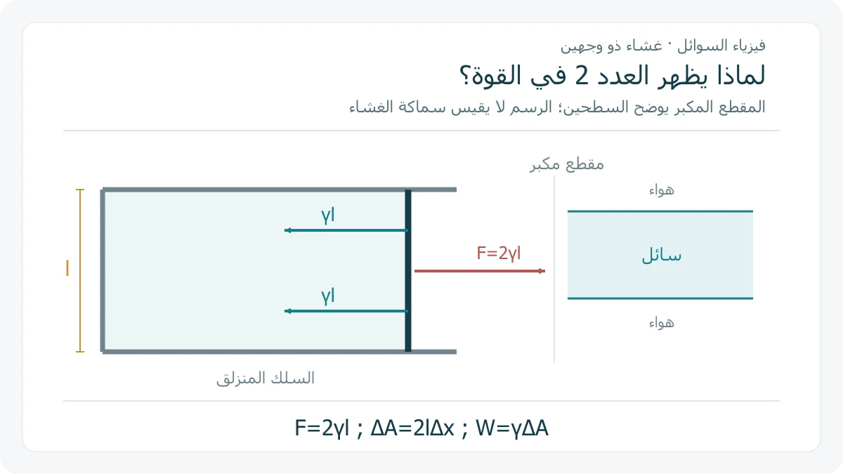 إطار لغشاء سائل مع سلك متحرك؛ تسحب قوتان متساويتان γl من سطحي الغشاء السلك إلى الداخل، وتعاكسهما قوة خارجية 2γl، مع مقطع مكبر يوضح سطحي طبقة السائل