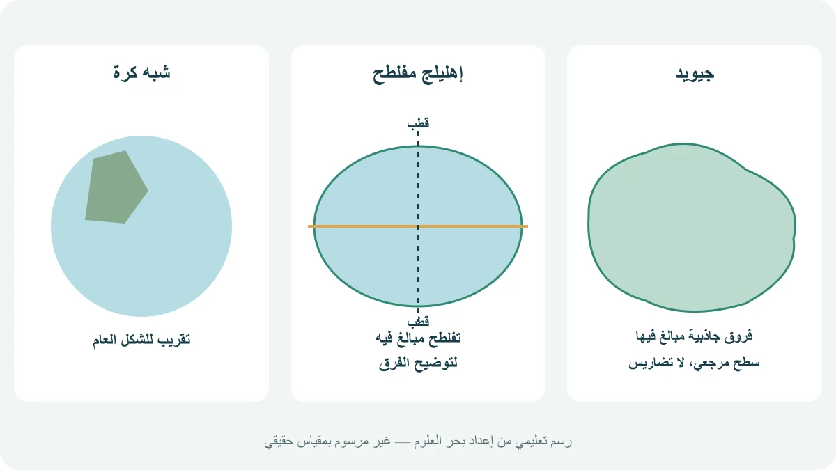 ثلاثة نماذج تعليمية منفصلة لشبه كرة وإهليلج مفلطح وجيويد بفروق مبالغ فيها، مع خط الاستواء والقطبين