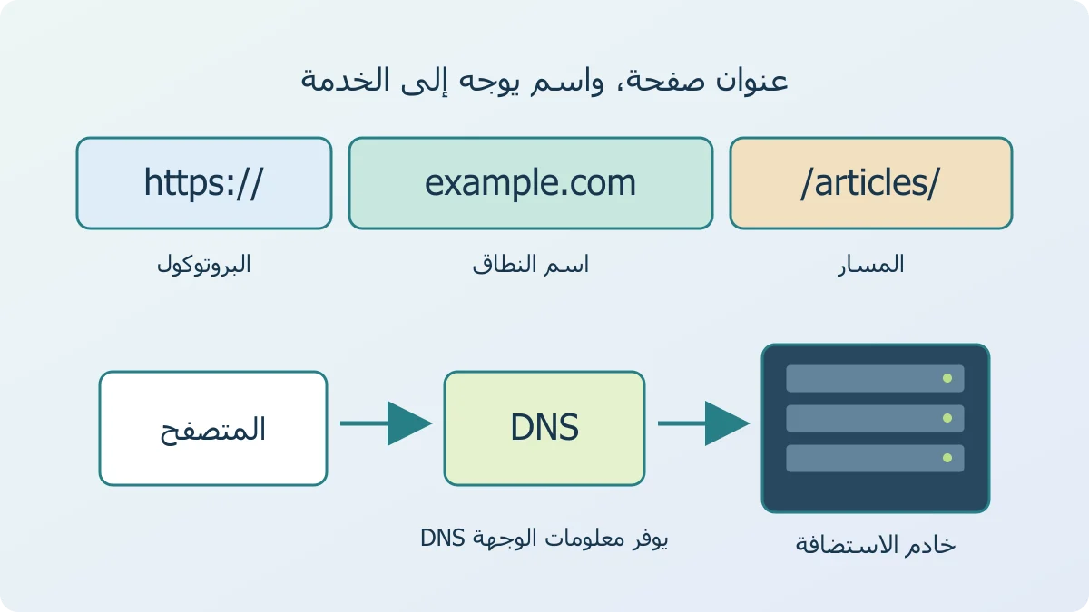 رسم يفكك عنوان ويب إلى بروتوكول واسم نطاق ومسار، ثم يوضح دور DNS في توجيه الاسم إلى خادم