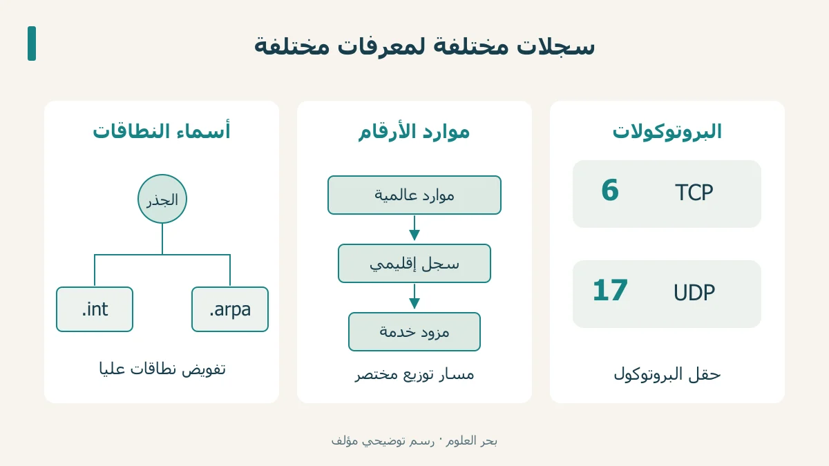 ثلاثة مسارات تشير إلى سجلات الأسماء وموارد الأرقام والبروتوكولات