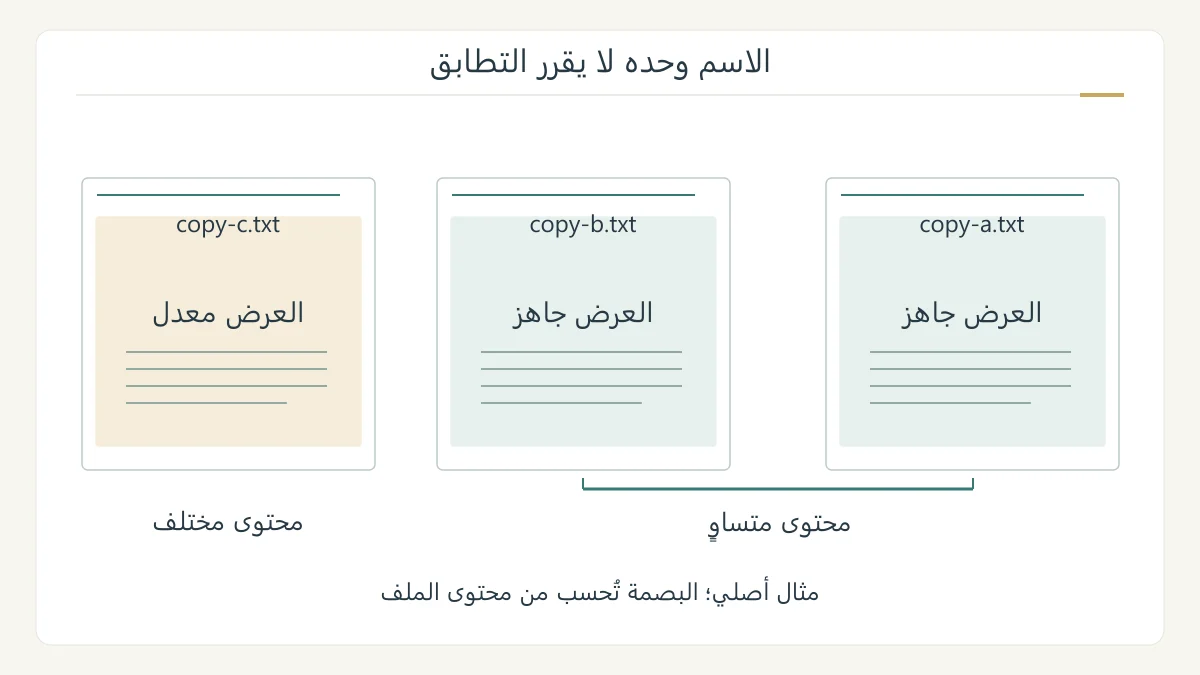 رسم أصلي لثلاثة ملفات يبين أن نسخة باسم مختلف قد تطابق المحتوى، وأن ملفًا مشابه الاسم قد يختلف عنه
