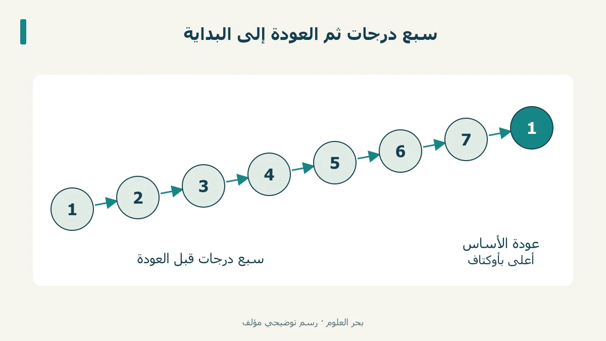 سبع درجات مرقمة، ثم عودة الدرجة الأولى أعلى بأوكتاف في خانة ثامنة.