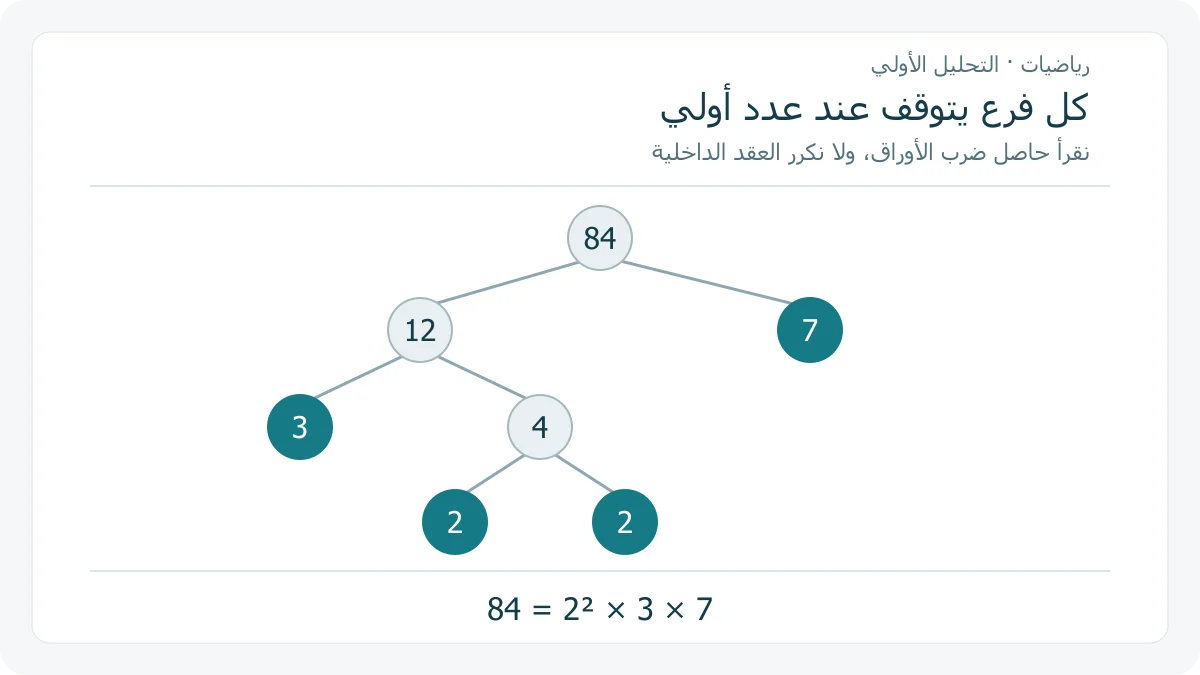 شجرة عوامل للعدد 84 تتفرع إلى 12 و 7، ثم 12 إلى 3 و 4، ثم 4 إلى 2 و 2؛ الأوراق الأولية هي 2 و 2 و 3 و 7
