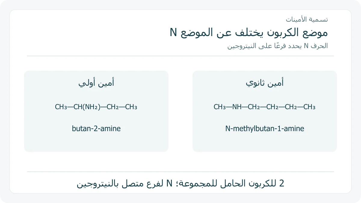 رسم أصلي يقارن موضع الكربون 2 ببديل ميثيل على N في أمينين