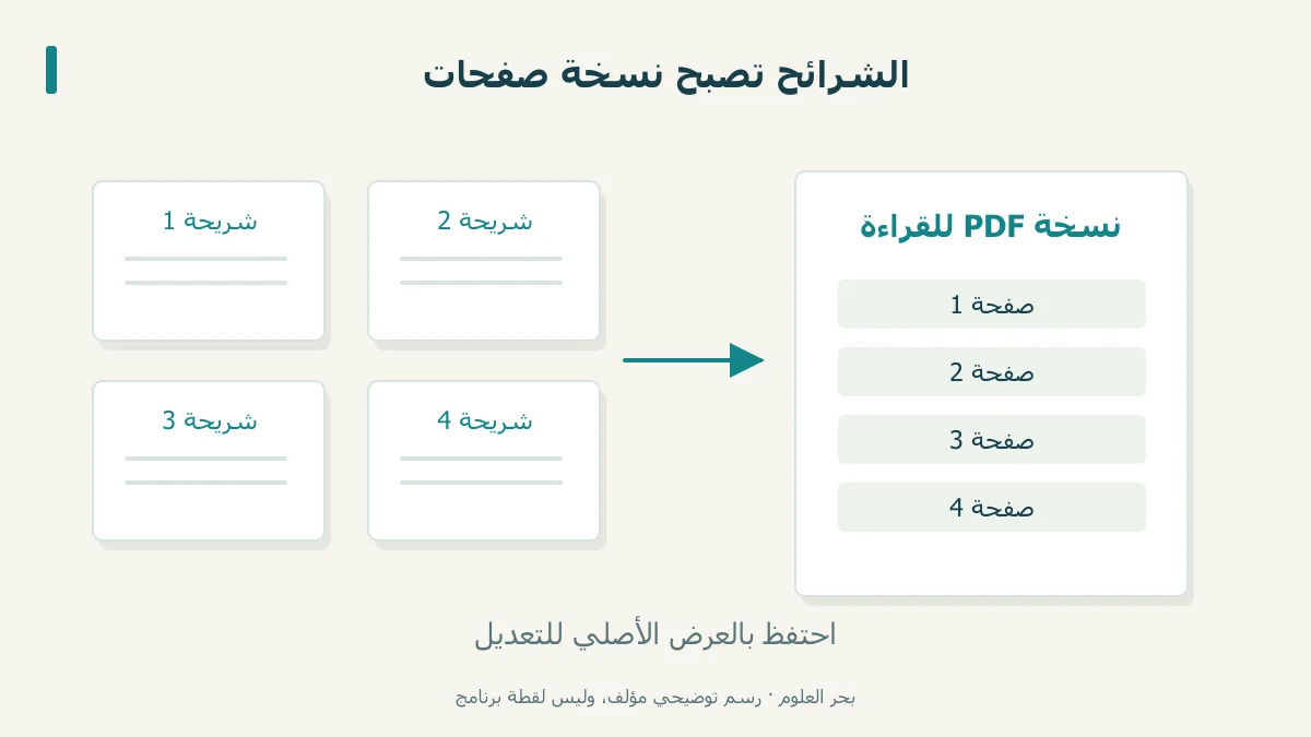 أربع شرائح أصلية تتحول إلى صفحات قراءة في ملف PDF