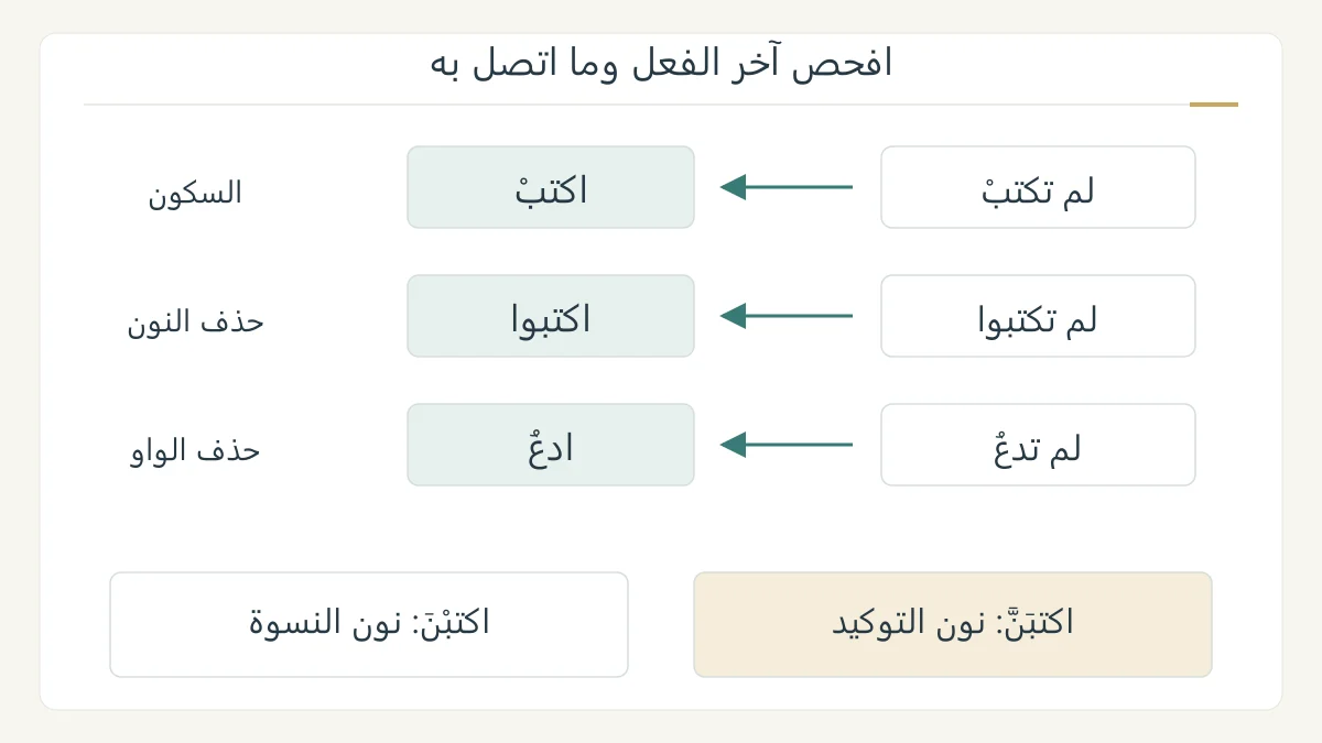 مخطط أصلي يشتق اكتبْ واكتبوا وادعُ من صيغ المضارع المجزوم، ويقارن اكتبْنَ واكتبَنَّ مع تمييز نوع النون