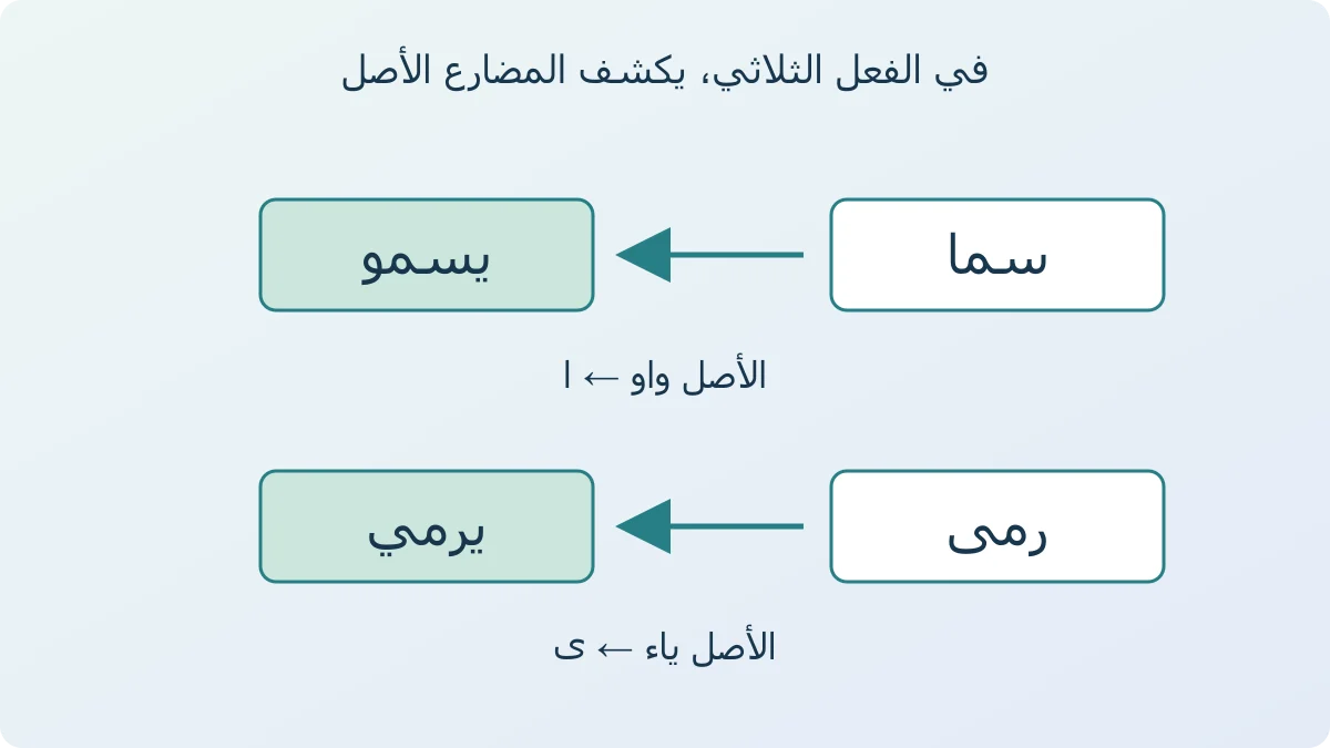 مخطط إملائي يصل سما بيسمو ورمى بيرمي، فيوضح كيف يكشف المضارع الواو أو الياء وراء الألف في الفعل الثلاثي