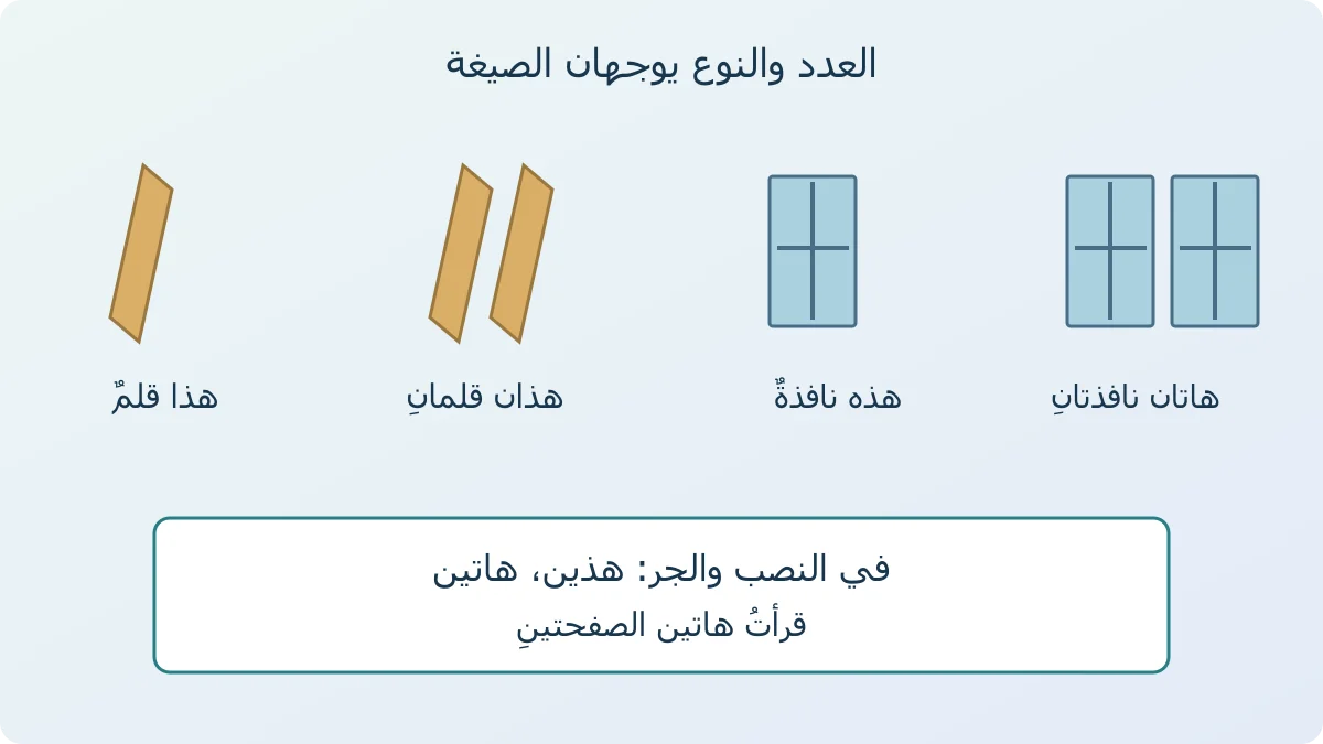 رسم لقلم واحد وقلمين ونافذة ونافذتين يقارن هذا وهذان وهذه وهاتان، مع تغير المثنى إلى هذين وهاتين في النصب والجر