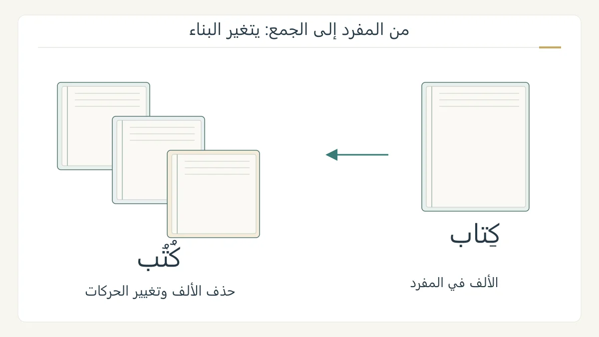 رسم أصلي لكتاب واحد وثلاثة كتب بغطاء وصفحات مفصلة، مع مقارنة كِتاب وكُتُب وإبراز اختفاء الألف وتغير الحركات