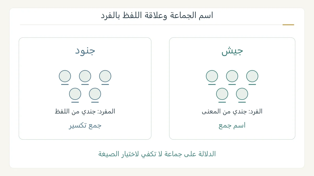مقارنة جيش وجندي بجنود وجندي لتوضيح اختلاف علاقة اللفظ بالجماعة