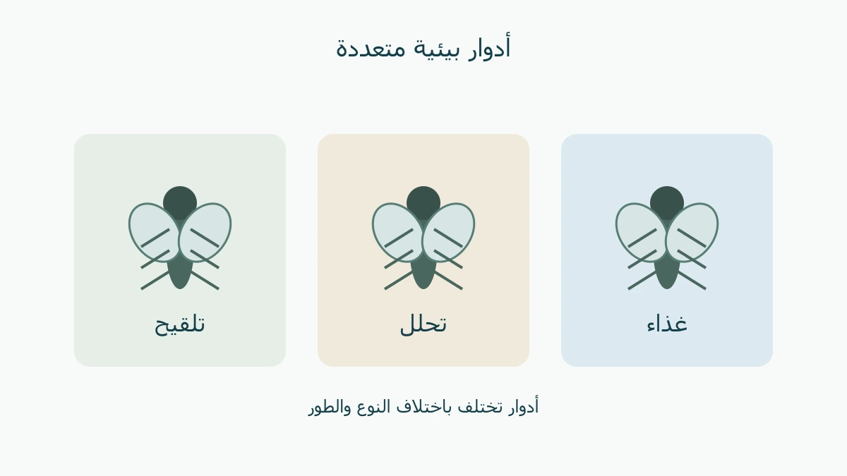 رموز ذباب مع التلقيح والتحلل والغذاء