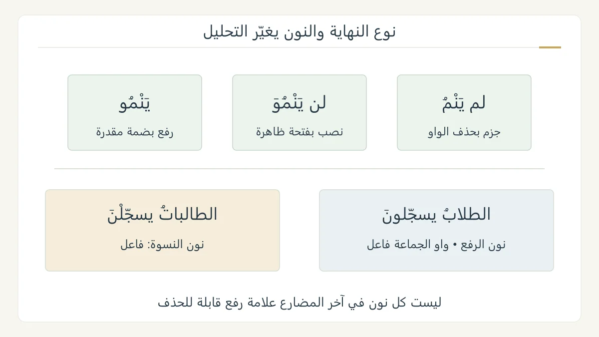 مخطط تعليمي أصلي يقارن ينمو ولن ينمو ولم ينم، ثم الطالبات يسجلن والطلاب يسجلون مع تمييز نون النسوة ونون الرفع