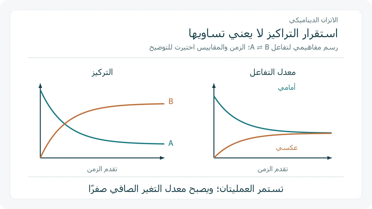 تراكيز تستقر عند قيم مختلفة ومعدلان يتقاربان إلى قيمة واحدة