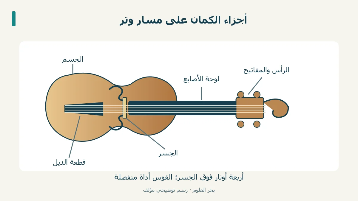 رسم كمان يحدد الرأس ولوحة الأصابع والجسر وقطعة الذيل.