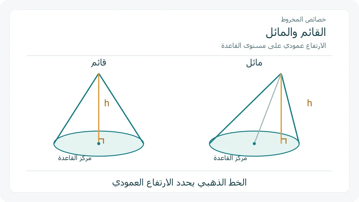 رسم يقارن المخروط الدائري القائم والمائل
