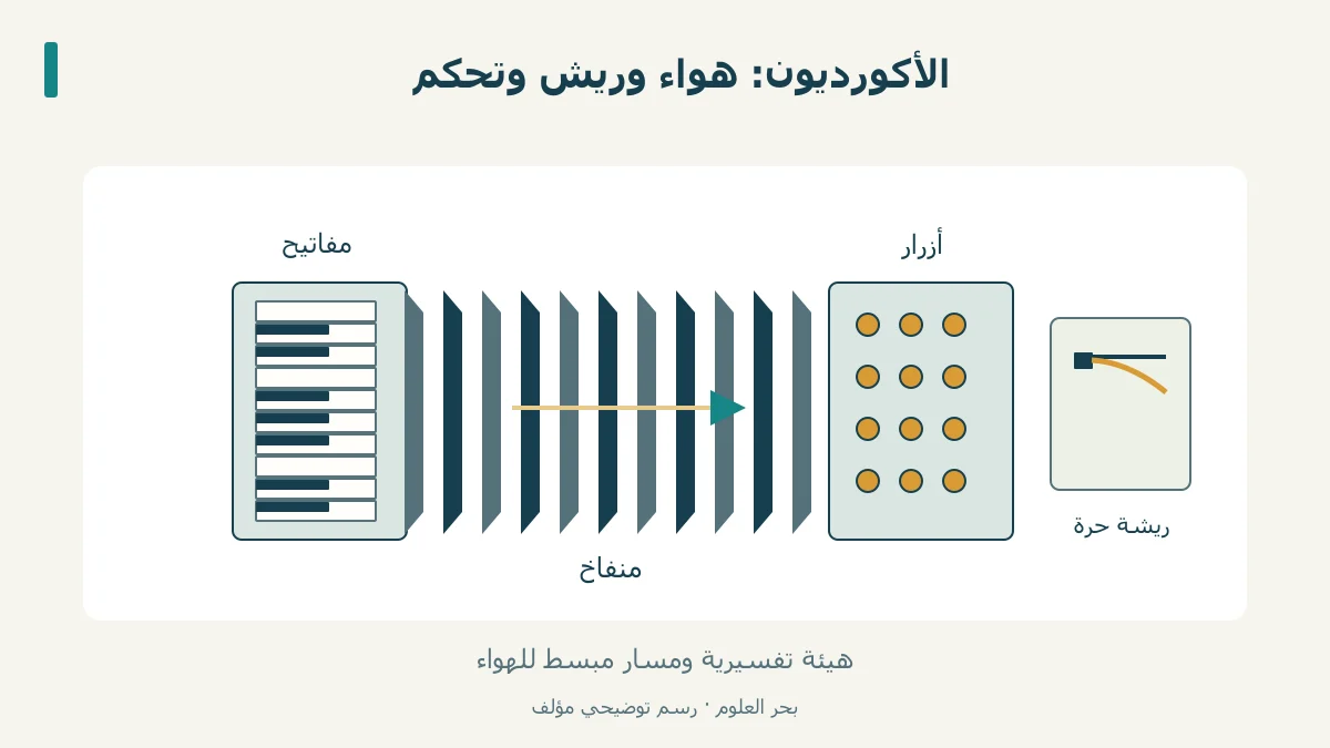 أكورديون بمنفاخ ولوحتي تحكم ومسار هواء وريشة