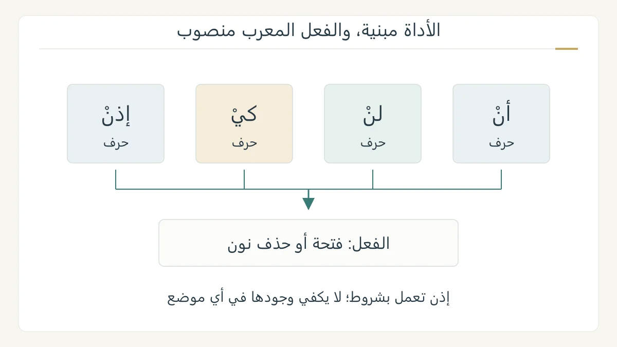 رسم أصلي لأن ولن وكي وإذن في أربع خانات، يبين بناء الحروف ويصلها بفعل منصوب، مع فصل الحرف عن حركة الفعل