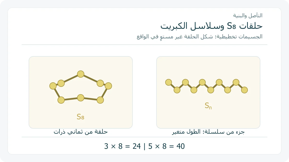 حلقة S₈ ومقطع سلسلة كبريت